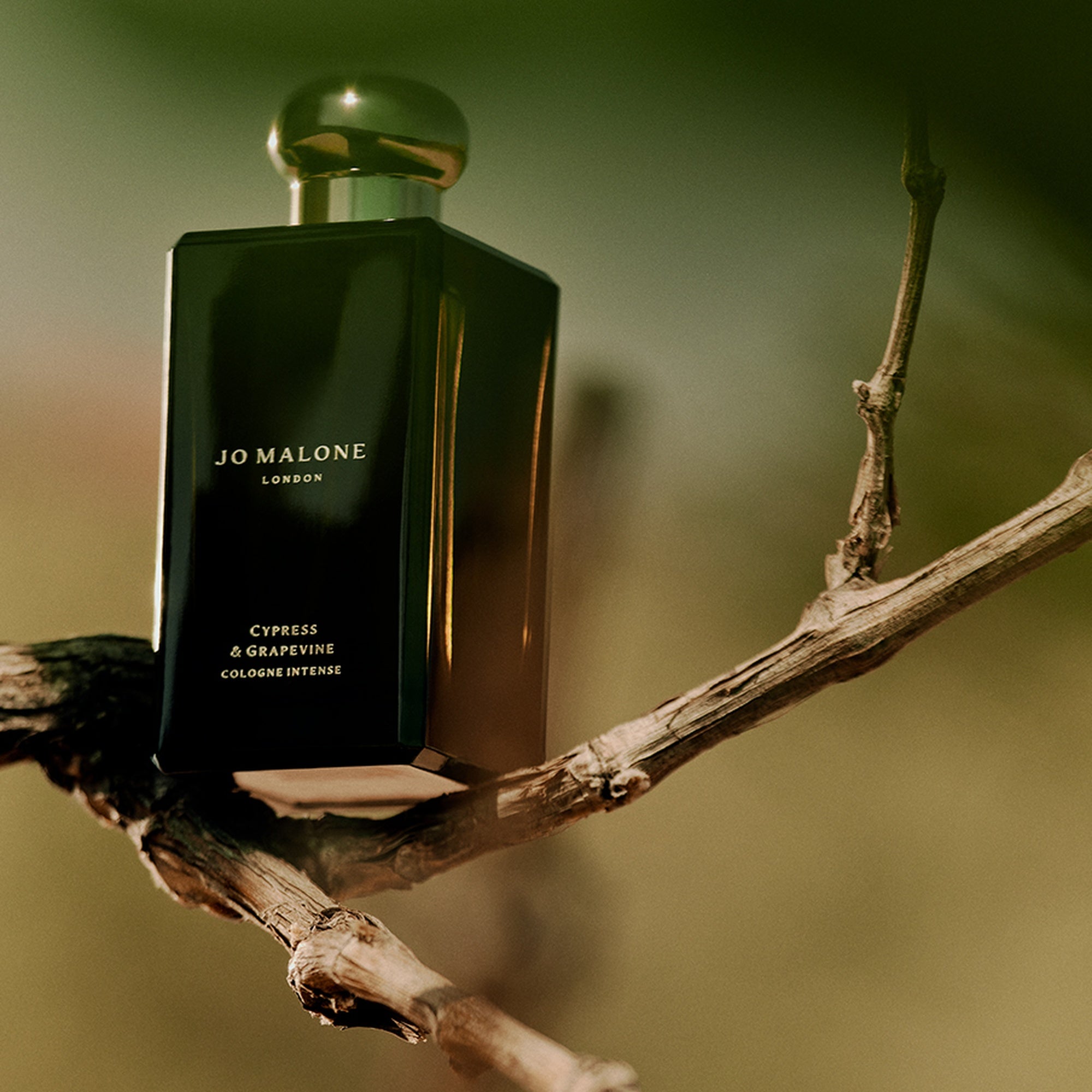 JO MALONE CYPRESS &amp; GRAPEVINE COLOGNE INTENSE