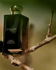 JO MALONE CYPRESS & GRAPEVINE COLOGNE INTENSE